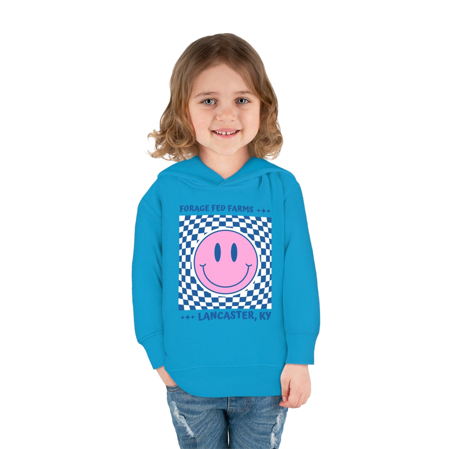 Groovy Toddler Hoodie