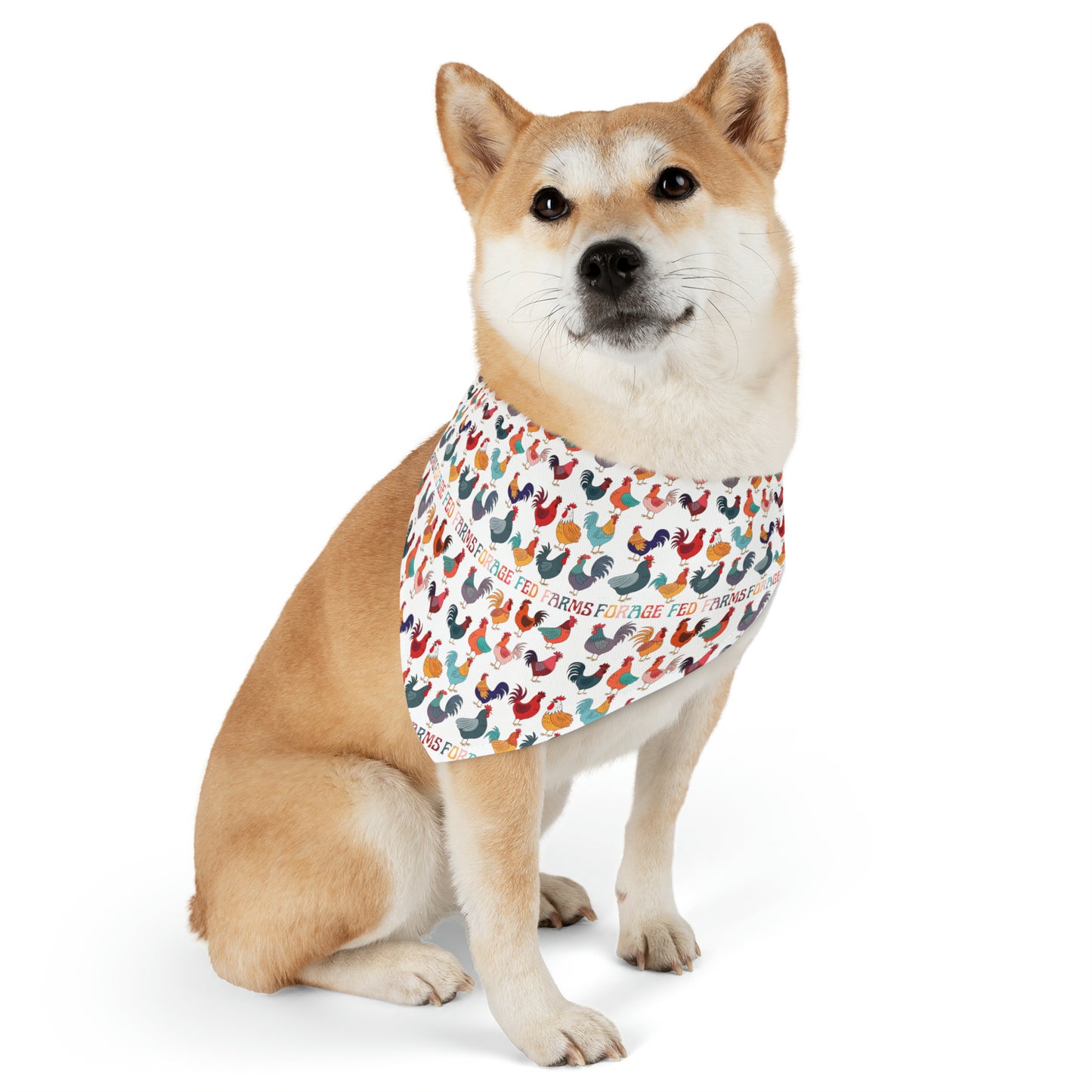 Chicken Math Pet Bandana Collar