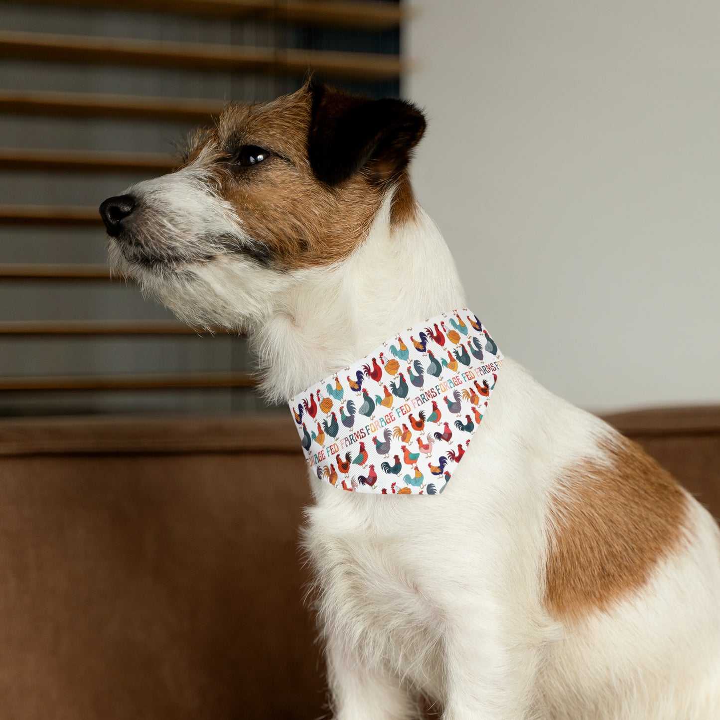 Chicken Math Pet Bandana Collar