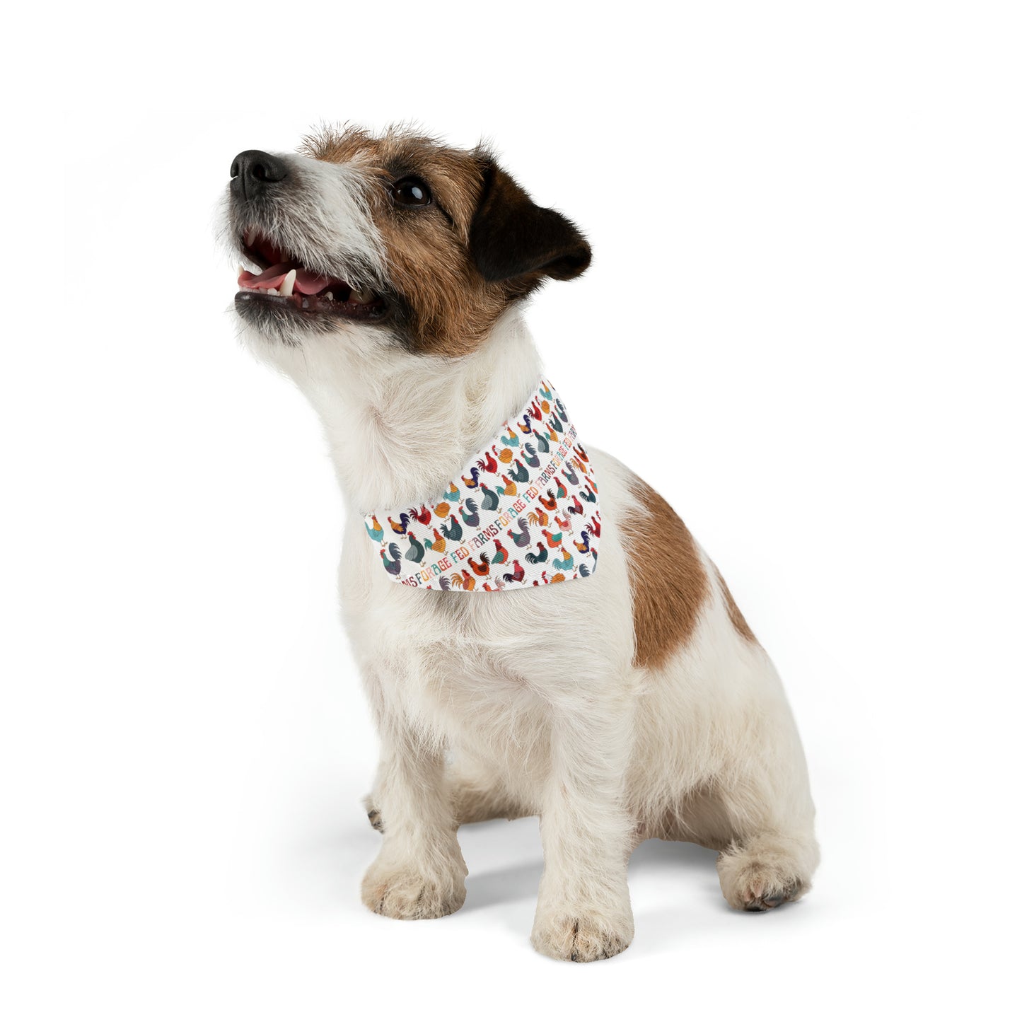 Chicken Math Pet Bandana Collar