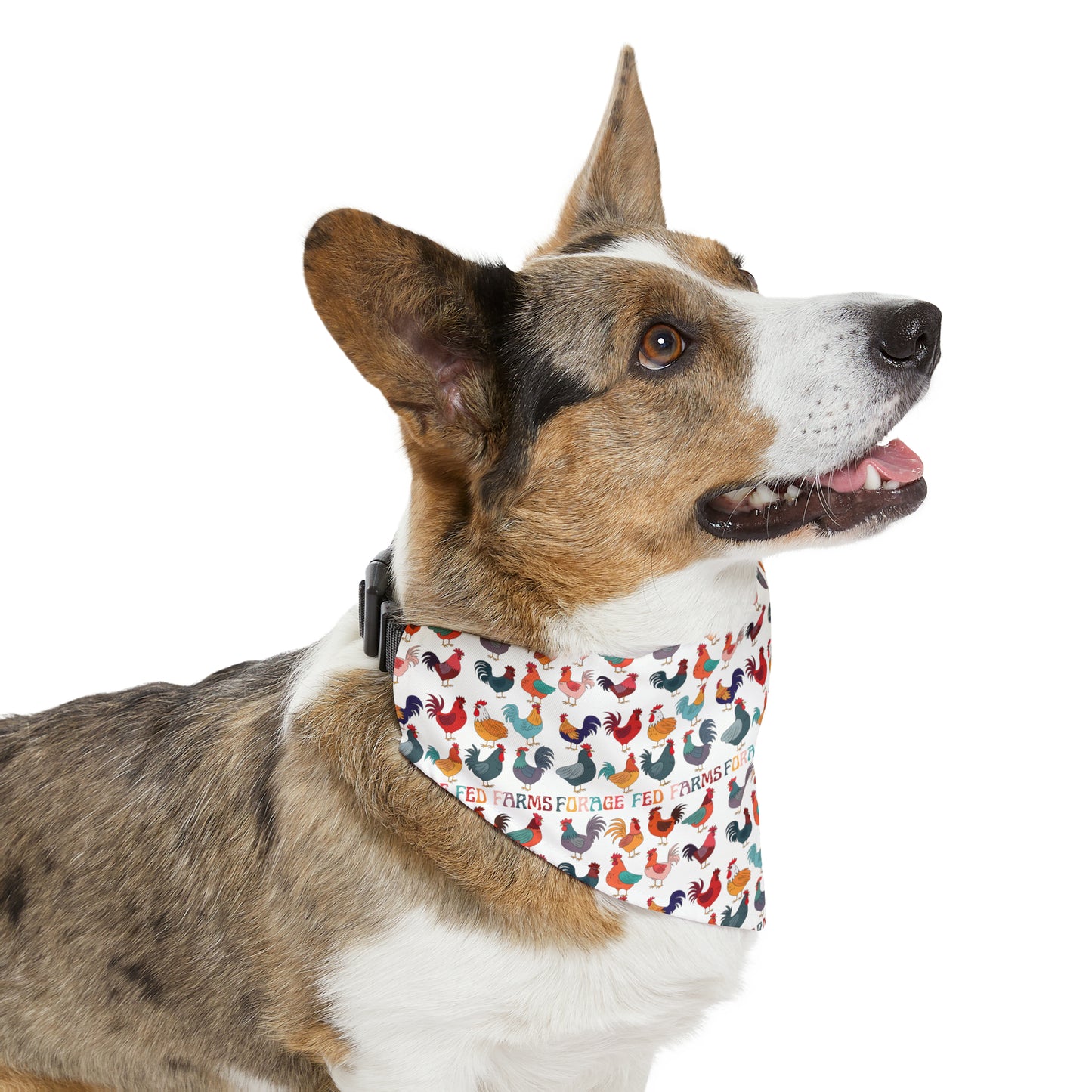 Chicken Math Pet Bandana Collar