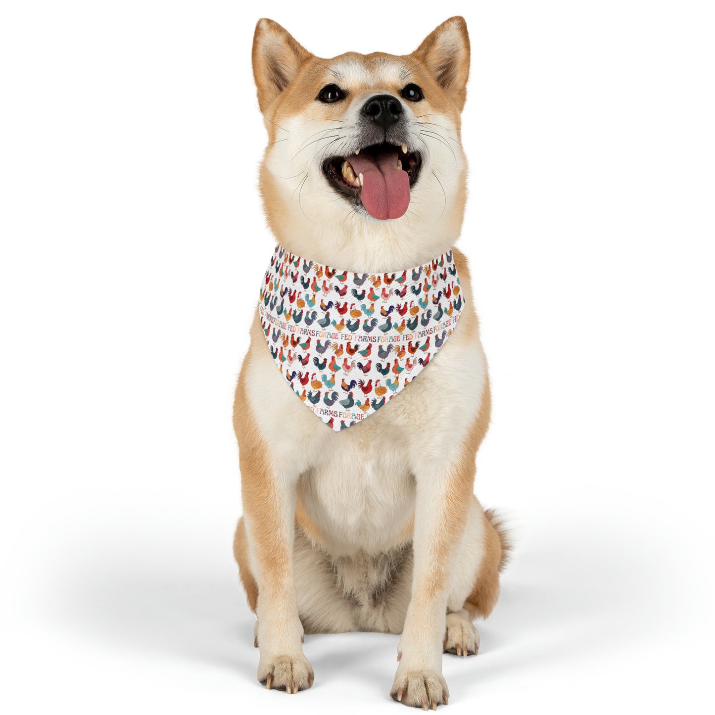 Chicken Math Pet Bandana Collar