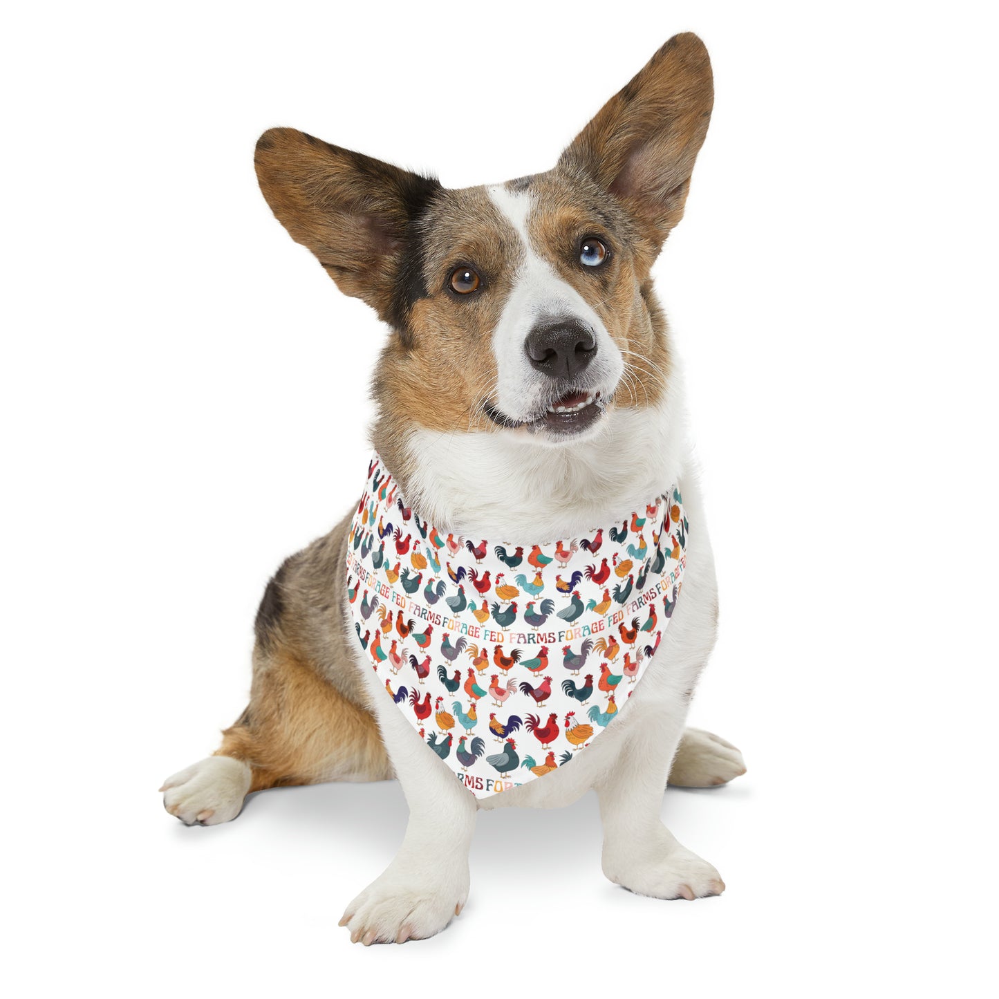 Chicken Math Pet Bandana Collar