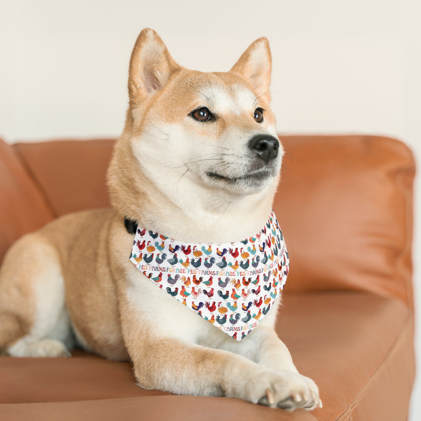 Chicken Math Pet Bandana Collar